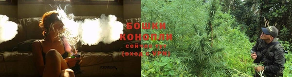 ECSTASY Богородицк