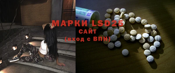 ECSTASY Богородицк