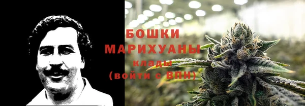 гидропоника Богданович