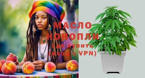 ECSTASY Богородицк