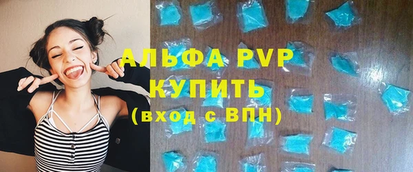 ECSTASY Богородицк