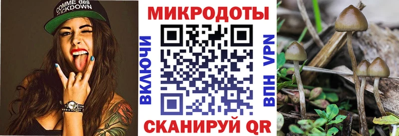 Галлюциногенные грибы GOLDEN TEACHER  Купить  Чердынь 