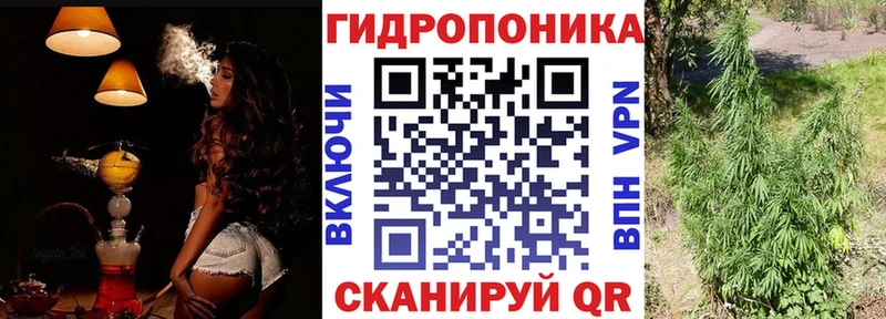 Купить  Чердынь  Конопля White Widow 